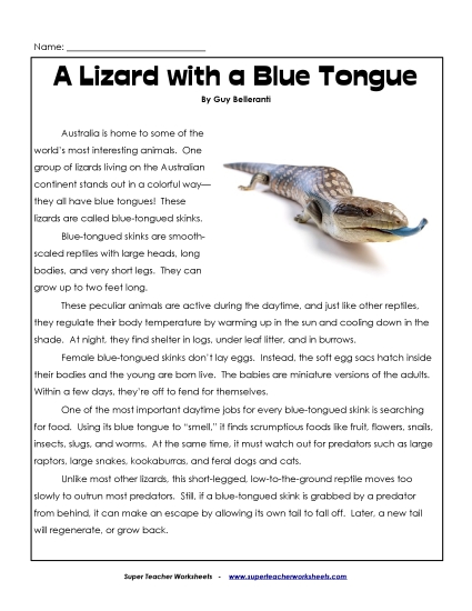 A Lizard with a Blue Tongue