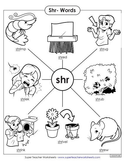 Anchor Chart (Shr- Words)