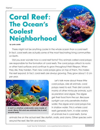 Coral Reef: The Ocean\'s Coolest Neighborhood