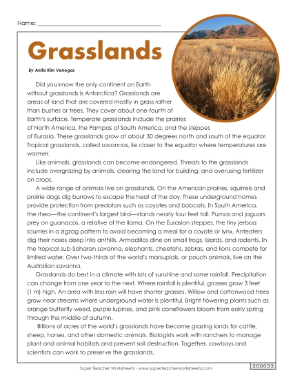 Grasslands