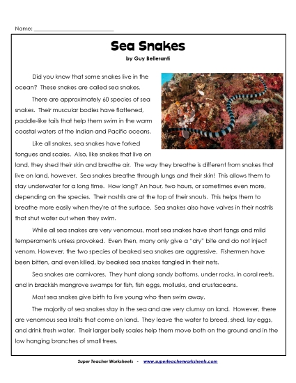 Sea Snakes