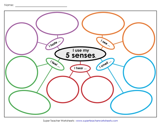 Web #2: Five Senses