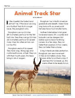 Animal Track Star