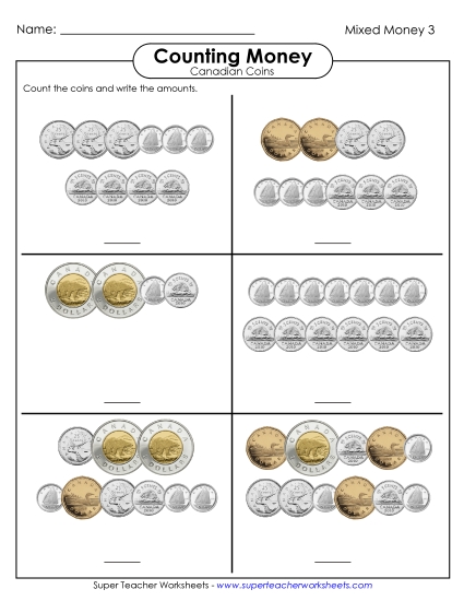 Counting Mixed Coins