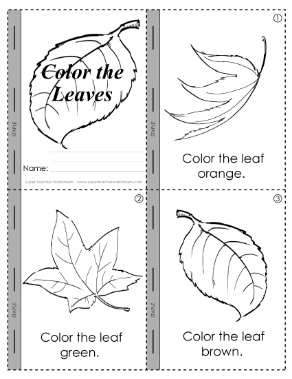 Fall:  Color the Leaves