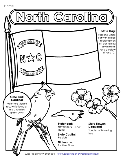 North Carolina State Symbols Coloring Page