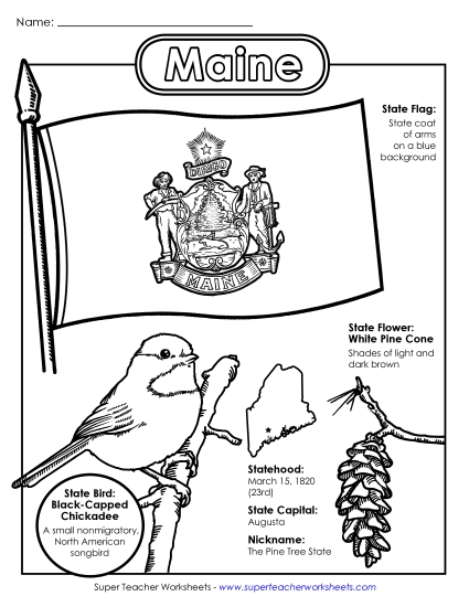 Maine State Symbols Coloring Page