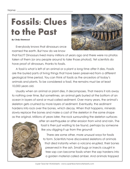 Fossils: Clues to the Past