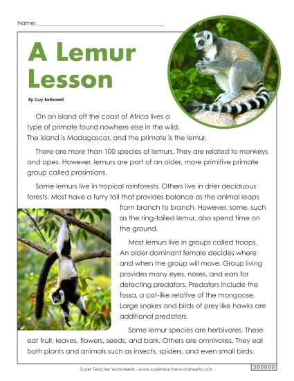 Lemurs