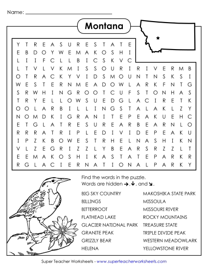 Word Search Puzzle