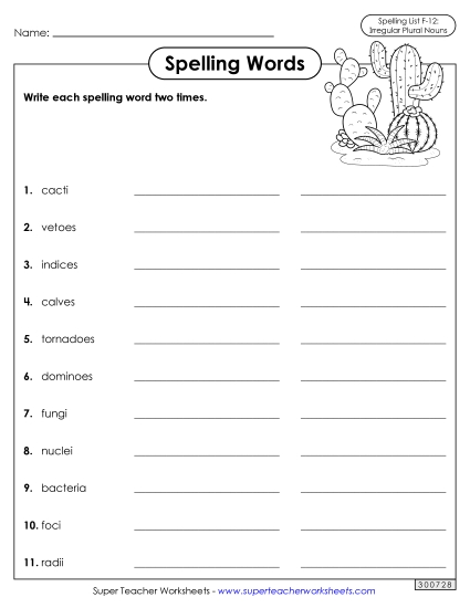 Write Words Twice (F-12)