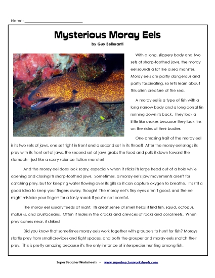 Mysterious Moray Eels