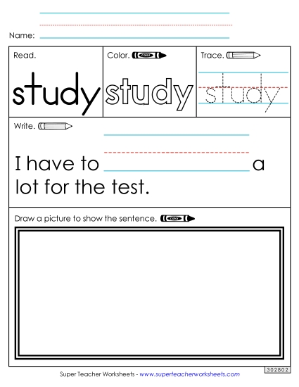 Worksheet 3: Study