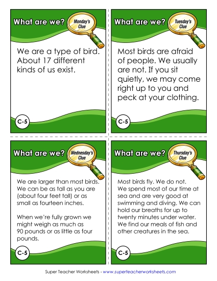 What Are We? Challenge (Penguins)