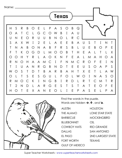 Word Search Puzzle