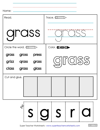 Worksheet 2: Grass