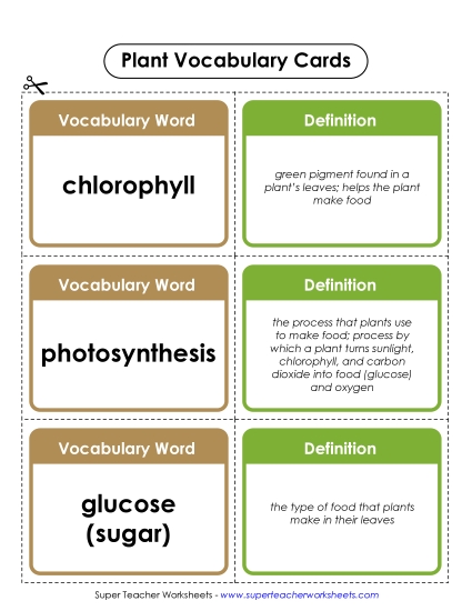 Plant Vocab Cards (Intermediate)