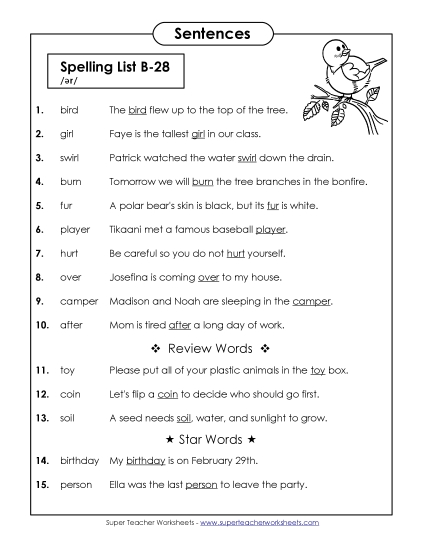 Spelling Test Sentences (B-28)