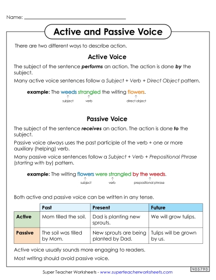 Active and Passive Voice Anchor Chart