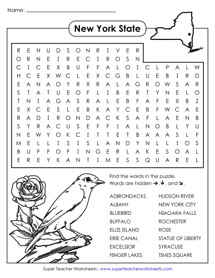 NYS Word Search Puzzle