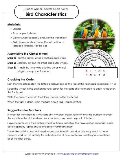 Characteristics of Birds