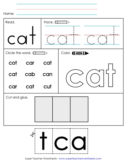 Worksheet 2: Cat