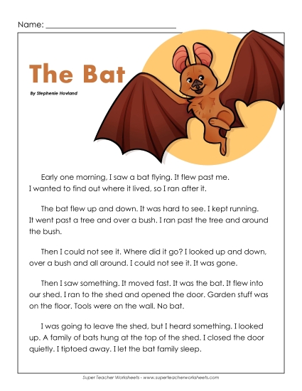 The Bat Reading Comprehension Worksheet
