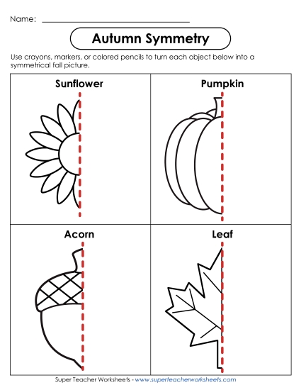 Autumn Symmetry  Worksheet