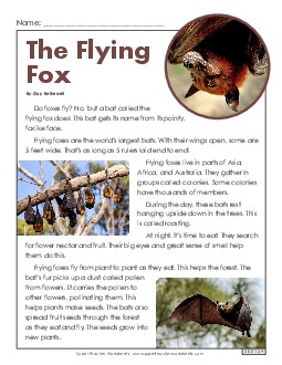 The Flying Fox (Nonfiction) 2nd Grade Reading Comprehension ELA Worksheet