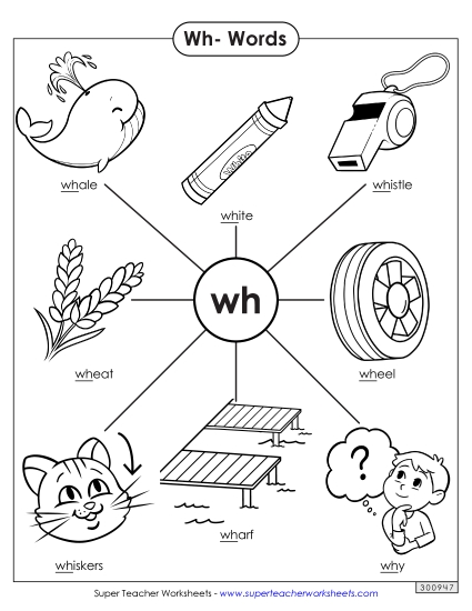 Anchor Chart (Wh- Words)