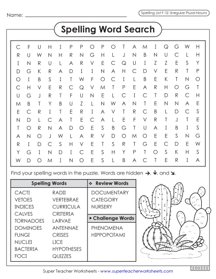 Word Search (F-12)