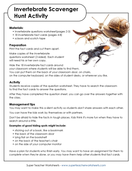Invertebrate Scavenger Hunt