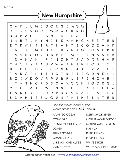Word Search Puzzle