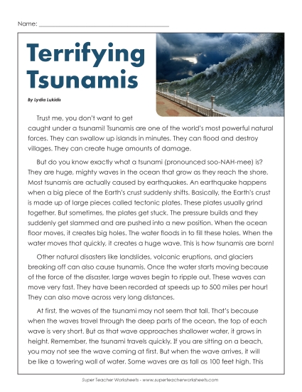 Tsunami Article