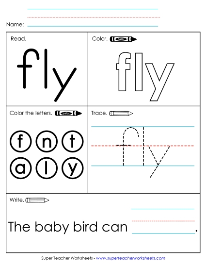Worksheet 1: Fly