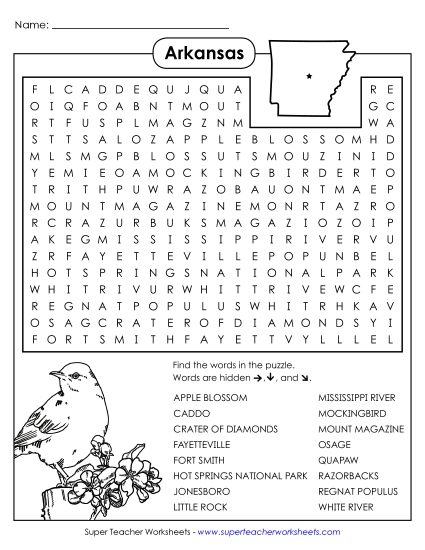 Word Search Puzzle