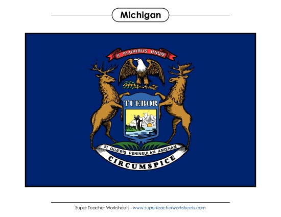 Michigan State Flag (Full-Color Version)
