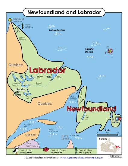 Newfoundland and Labrador Map (Full Colour)