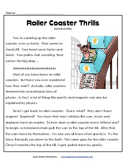 Roller Coaster Thrills