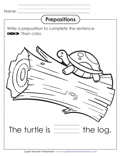 Fill in the Blank and Color: Turtle