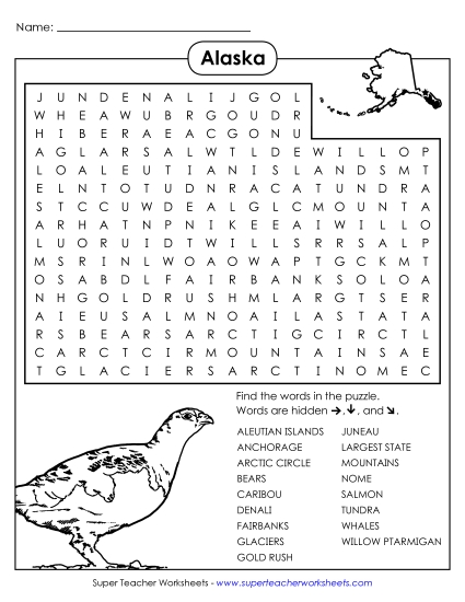Word Search Puzzle