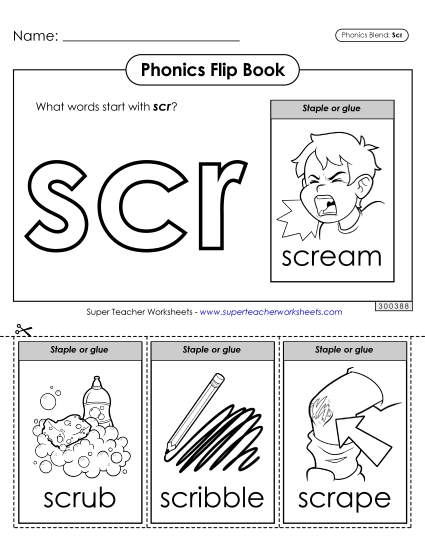 Phonics Flip Book (Scr-)