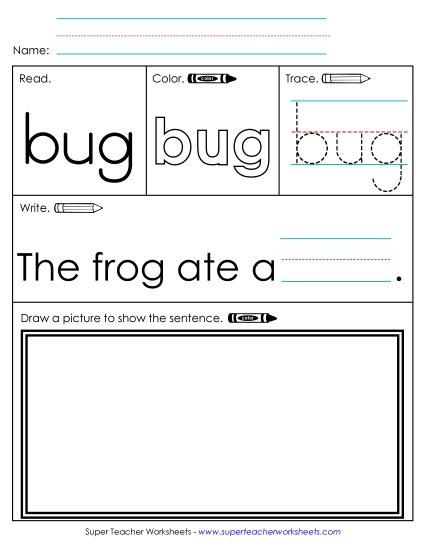 Worksheet 3: Bug