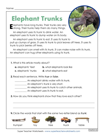 Elephant Trunks (Short Article)