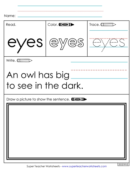 Worksheet 3: Eyes