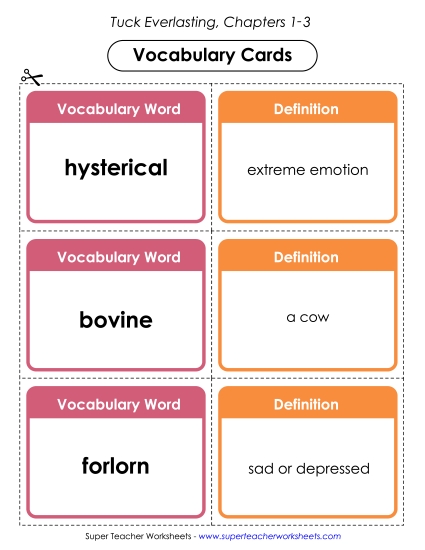 Vocabulary Cards for Chapters 1-3