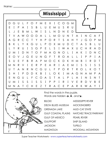 Word Search Puzzle
