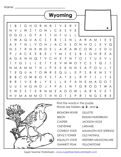 Word Search Puzzle