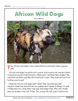 Nonfiction: African Wild Dogs 4th Grade Reading Comprehension ELA Worksheet