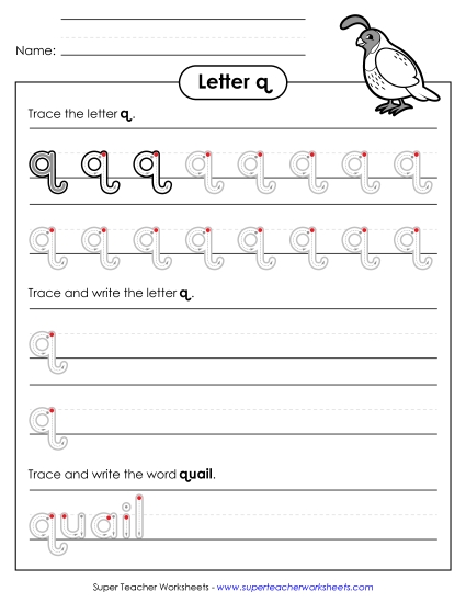 Lowercase q (Outlined Letters) Printing Handwriting Worksheet
